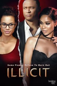   Недозволенное (2017)